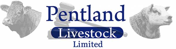 Pentland Livestock Logo